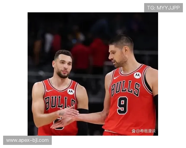 球星卡（NBA）：9293赛季NBA总冠军芝加哥公牛队